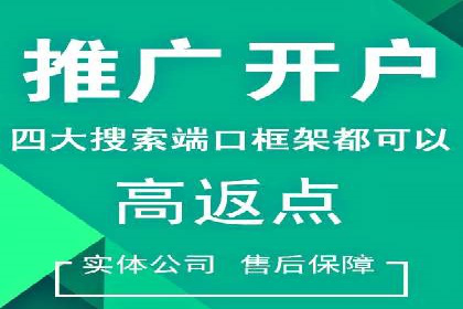 案例研究：SEM竞价托管效果对比
